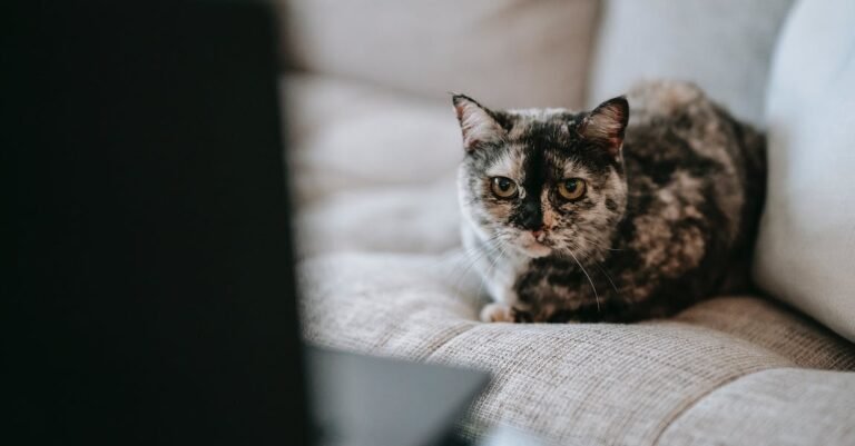 Simple Tips For Getting Started With Video Marketing